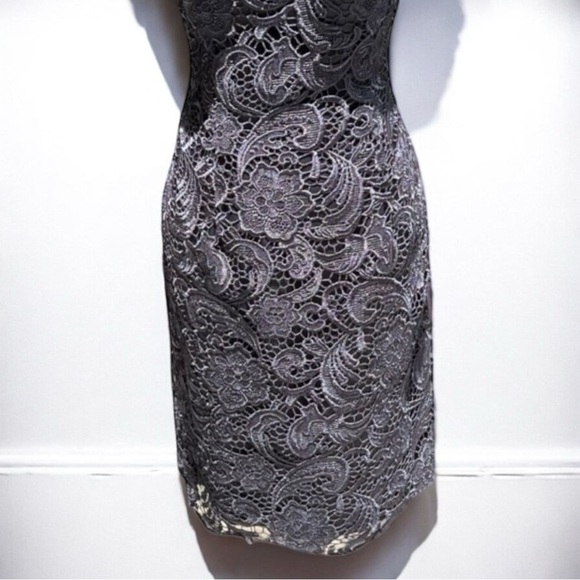 🌻Adrianna Papell Gray Illusion Lace Special Occasion Sheath Dress Size 8 - Picture 4 of 11